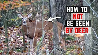 How To NOT Be Seen By Deer - How To Stay Hidden