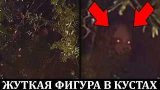 Эти страшные видео заставят вас закрыть глаза