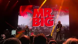 Mr. Big - Shy Boy - Live at Summer Breeze Festival, São Paulo, Brazil (04/26/2024)