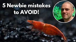 🖐️ Newbie Shrimp Keeping Mistakes to Avoid!