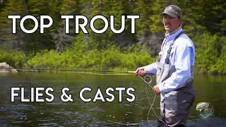 Top Fly Patterns for Big Brook Trout | Guide Tips