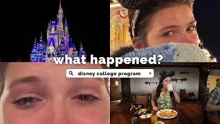 the UGLY TRUTH about my Disney Program