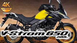 V-Strom 650 xt Suzuki 2023 - Technical Data, Price, Analysis