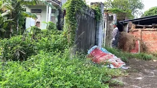 Clean up the abandoned house and transform the garden into a beautiful place