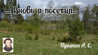 ... Вновь я посетил... Стихи. Пушкин А. С.