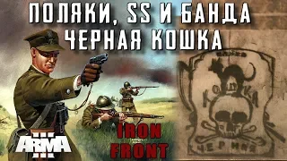 Поляки штурмуют замок с офицерами СС и банда "Черная кошка" Iron Forn Arma 3 Red Bear