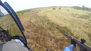 Heli Shooting Australia - Mob of feral pigs destroyed in FNQ