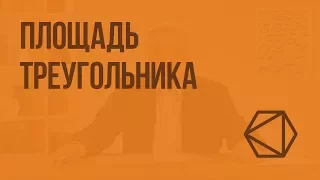 Площадь треугольника. Видеоурок по геометрии 8 класс