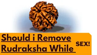 Can We Wear Rudraksha While having S*X | Can married couple wear rudraksha | Rudraksha Precautions