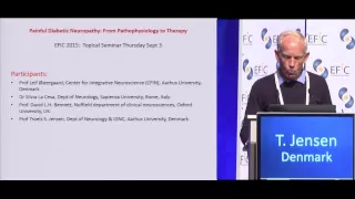 Painful diabetic neuropathy: from pathophysiology to therapy - Introduction