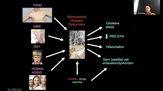 Exercise and Nutritional Issues in Mitochondrial Disease - Dr. Mark Tarnopolsky