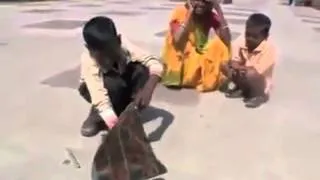 Great Magician - India - Facebook