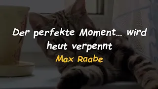 Max Raabe - Der perfekte Moment… wird heut verpennt - Sub Español/Alemán