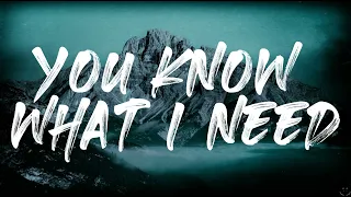 PNAU, Troye Sivan - You Know What I Need (Lyrics) 1 Hour