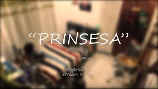 Prinsesa - 6cyclemind (Cover)