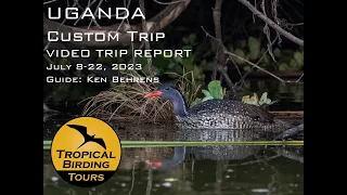 TRIP REPORT: UGANDA 2023 Video Trip Report