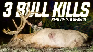 Best Of ELK SEASON 2019 Pt2