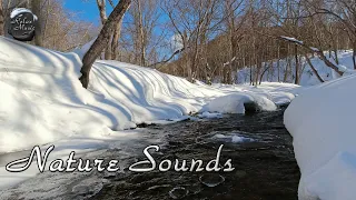 Relaxing sounds of nature / Noise of the forest river for relaxation, sleep, meditation.