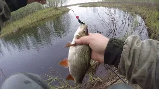 Ямал проснулся !!! Язь,щука ,окунь на силикон  в секретном месте!!!