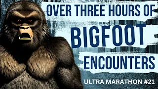 Bigfoot Ultra Marathon #21 - Over Three Hours Of True Bigfoot Encounters