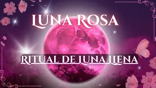 LUNA ROSA: LUNA LLENA DE ABRIL/ MEDITACIÓN: EL RESPLANDOR DE LA PRIMAVERA