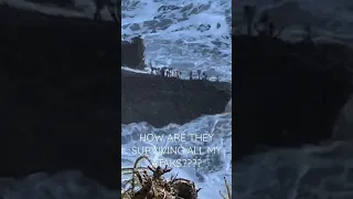 King Tides on the Oregon Coast Smashing into Plants