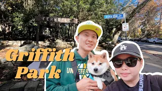 Griffith Park Hiking | Dog-Friendly & Peaceful Ferndell Trail