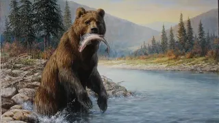 Медведь на приваде