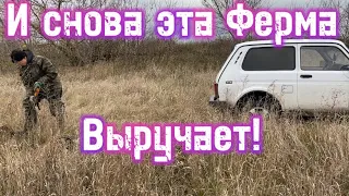 В Этих Местах Всегда Есть Металлолом! Цена на Металл 25 рублей, и Это Не Предел!