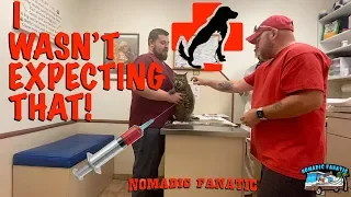 You Will Not Believe What Happened At The Vet...