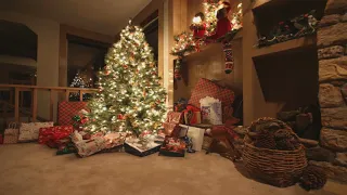 Wortschatz Weihnachten: der Weihnachtsbaum ⇔ Christmas tree  🎅