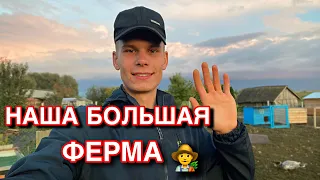 Жизнь в деревне ХОРОША 🏡 ОБЗОР ВСЕГО ХОЗЯЙСТВА | Строим Павлинятник | Куры, Утки, Кролики