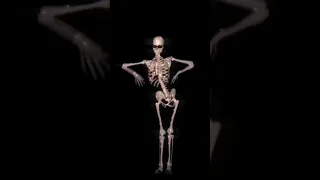 DJ Kayz, Naza & KeBlack - Com'dab/Squelette qui danse