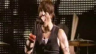 Red Hot Chili Peppers - Give It Away (Live at Green Fest 2007)