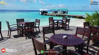 Embudu Village Resort || Maldives 🇲🇻 || Jyoha Travels 🌍