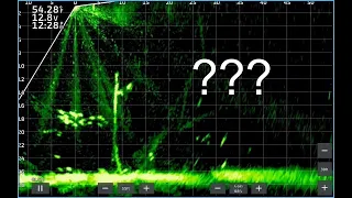 Livescope "video fishing" tutorial!!Understanding the screen!