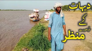 New Desi Saraiki Songs|Saraiki Desi Mahol|Beautiful View of Punjab|Saraiki Mahol pk