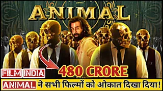 Aukaat Dikha Di Animal Box office Collection REACTION 480 CRORE🥱 # Film india 😇