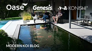 Modern Koi Blog #5556 - Danys Teich mit perfektem Koiwasser