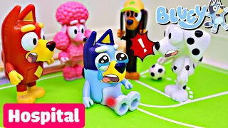 A Magical Hospital Visit with Bluey and Friends - Pretend Play with Bluey Toys