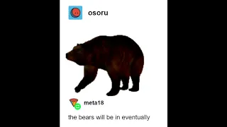 slowly approaching bear