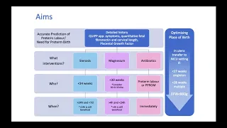 NNAP Virtual Presentation - The Perinatal Optimisation Pathway featuring the Antenatal Optimisation