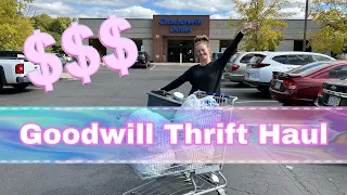 We Found A $3200 Item At The Goodwill Outlet 😱😱😱 Come The Bins With Me + HUGE Thrift Haul