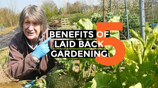 5 Advantages of LAZY Gardening | Energy Saving Garden Hacks