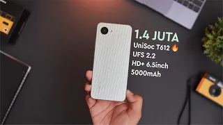 ANTI GIMMICK CLUB !!! Unboxing Realme C30 + Tes Gaming + Tes Kamera