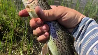 Wind Rivers Wyoming, Scab Creek entrance