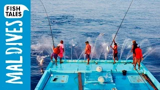 Sustainable Pole and Line TUNA Fishing in the Maldives | Bart's Fish Tales