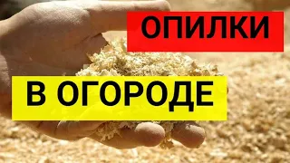 Чтобы опилки перепрели быстро для огорода, что сделать