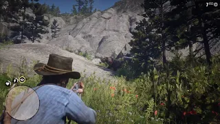 Red Dead Redemption 2: Hunting The Legendary Grizzly Bear - PS5 No Commentary