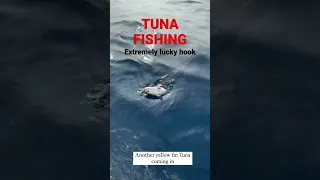 Tuna fishing Maldives ! Yellow fin got only hooked due to great hopper placement